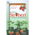 Berkebun Stroberi Secara Komersial