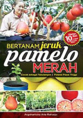 Bertanam Jeruk Pamelo Merah