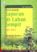 Bertanam Sayuran di Lahan Sempit