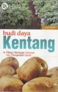Budidaya kentang