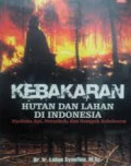 Kebakaran Hutan Dan Lahan di Indonesia