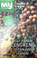 Kiat Panen Lengkeng Sepanjang Tahun