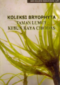 Koleksi Bryophyta Taman Lumut Kebun Raya Cibodas