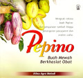 Pepino Buah Mewah Berkhasiat Obat