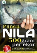 Panen Nila 500 gram per Ekor