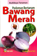 Pedoman Bertanam Bawang Merah