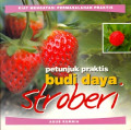 Petunjuk Praktis Budidaya Stroberi