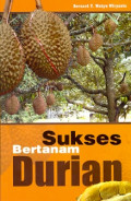 Sukses Bertanam Durian