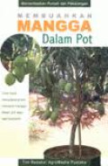 Sukses Membuahkan Mangga dalam Pot