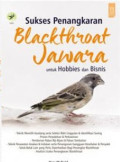 Sukses Penangkaran Blackthroat Jawara untuk Hobbies dan Bisnis