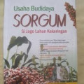 Usaha Budidaya Sorgum