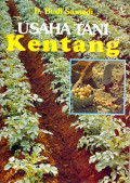 Usaha Kentang