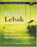 Rawa Lebak