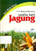 Usaha Tani Jagung